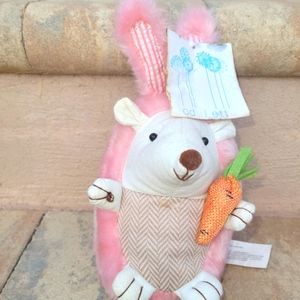 Odellette easter hedgehog